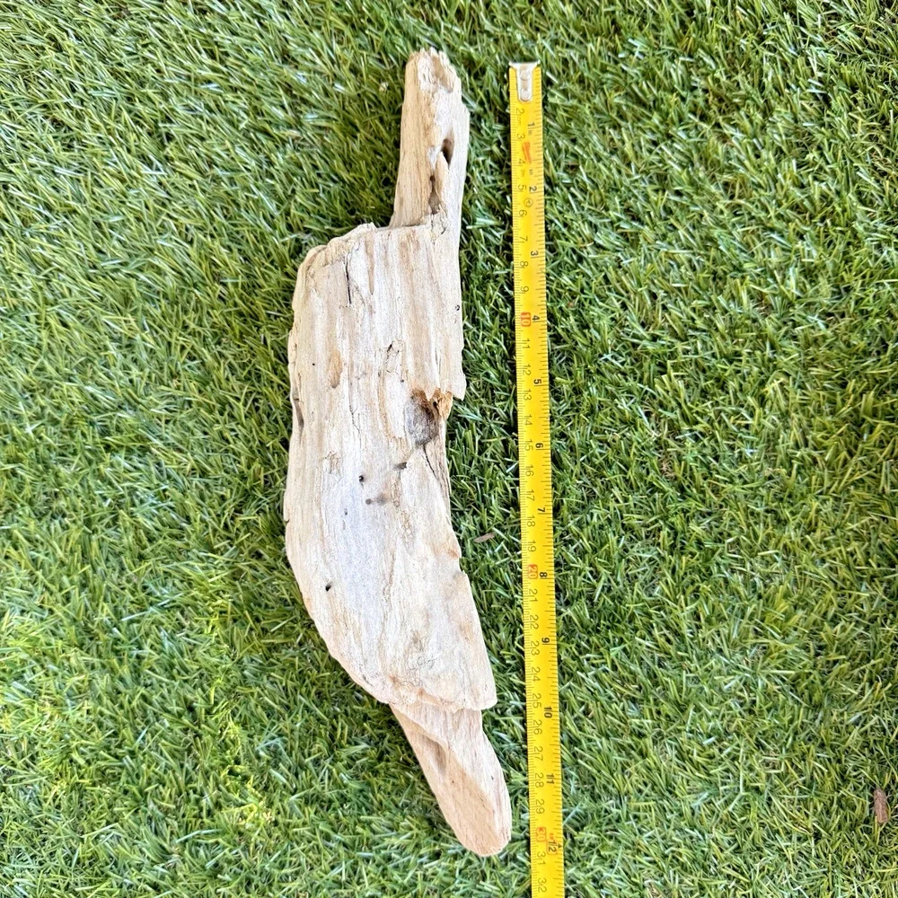 2 Natural Driftwood Pieces California Coast Rustic Beach Decor Aquarium Art